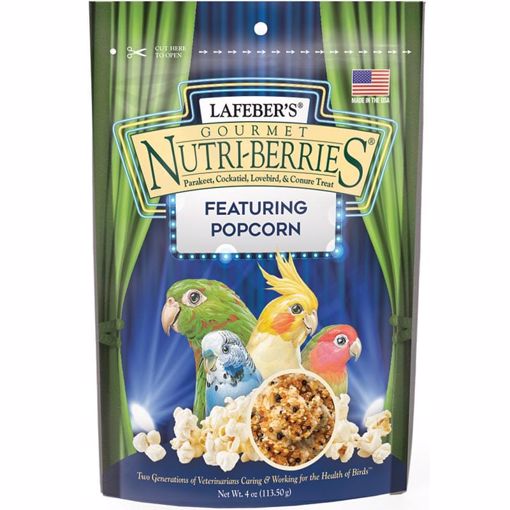 Picture of 4 OZ. COCKATIEL POPCORN NUTRI-BERRIES