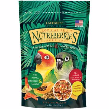 Picture of 10 OZ. CONURE TROPICAL FRUIT NUTRI-BERRIES