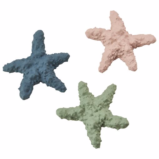 Picture of 6 IN. LOVE THE EARTH STARFISH - ASSORTED