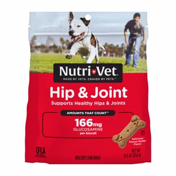 Picture of 19.5 OZ. HIP & JOINT REG. STRENGTH PB BISCUITS - 166MG GS