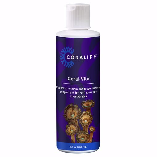 Picture of 8 OZ. CORALIFE CORAL VITE LIQUID