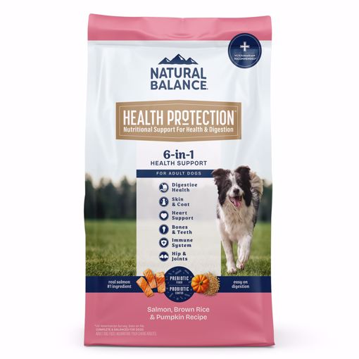 Picture of 4 LB. HEALTH PROTECTION DRY DOG FOOD - SLMN/BR RC/PUMPKIN