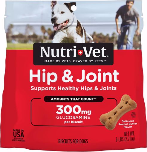 Picture of 4 LB. HIP & JOINT EX. STRENGTH PB BISCUITS - 300MG GS