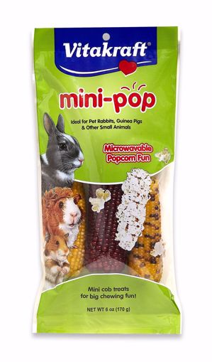 Picture of 6 OZ. SMALL ANIMAL MINI POP INDIAN CORN