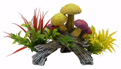 Picture of SM. EXOTIC ENVIRONMENTS MUSHROOM WITH PLANTS HIDEAWAY