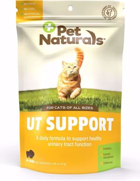 Picture of 60 CT. UT SUPPORT CHEWS - CAT