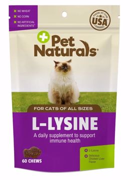 Picture of 60 CT. L-LYSINE CHEWS - CAT