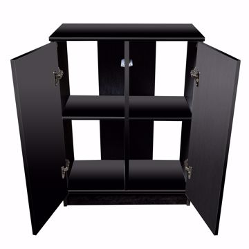 Picture of PREMIER 2-DOOR CABINET - BLACK - 24.5X13.7X31.5