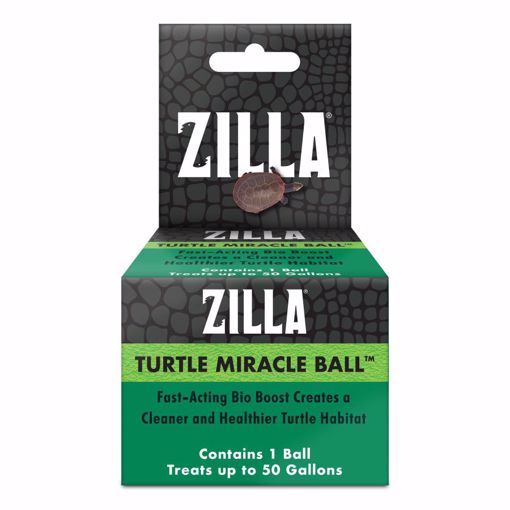 Picture of TURTLE MIRACLE BALL